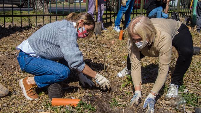 En este momento estás viendo Por el día del árbol se plantaron 100 ejemplares nuevos