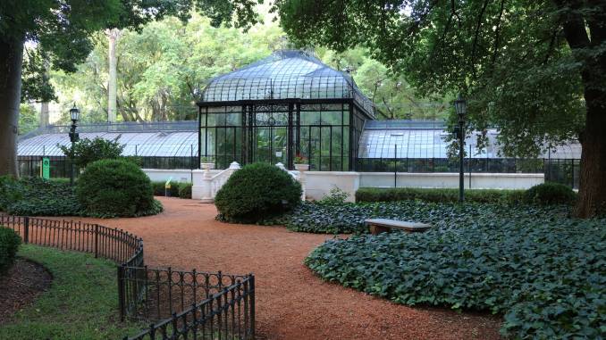 En este momento estás viendo En el día del voluntario el Jardín Botánico homenajeó a sus voluntarios