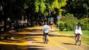 Lee más sobre el artículo Diciembre da comienzo a la floración de flores amarillas en la Ciudad