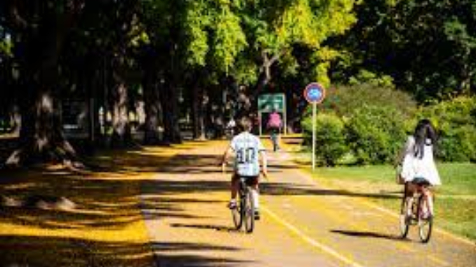 Diciembre da comienzo a la floración de flores amarillas en la Ciudad